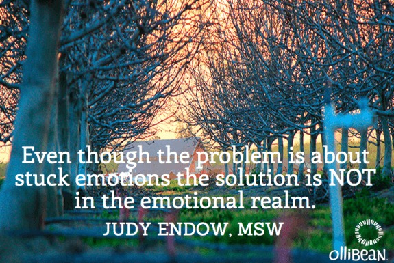 Photograph taken at sunrise - 2 rows of bare trees and at the end there is a farmhouse that appears lit from within. "Even though the problem is about stuck emotions the solution is NOT in the emotional realm." Judy Endow on Ollibean